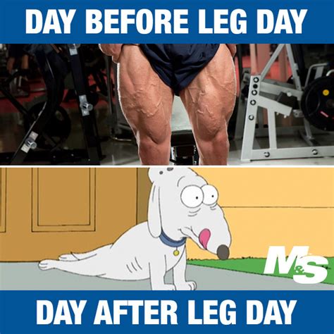 13 hilarious after leg day memes for people who really train legs