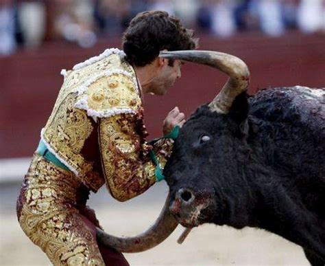 Brutal Bullfighting Snapshots Photos Depicting Furious Bull Attacks In