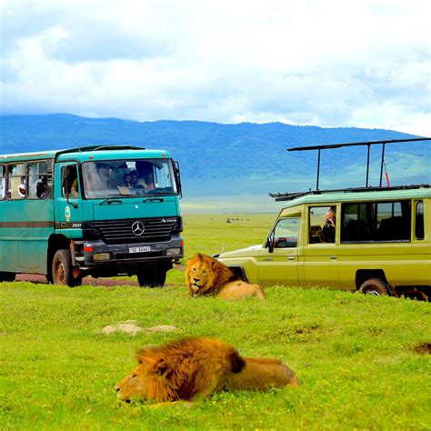 ngorongoro crater ngorongoro conservation area