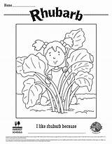 Rhubarb sketch template
