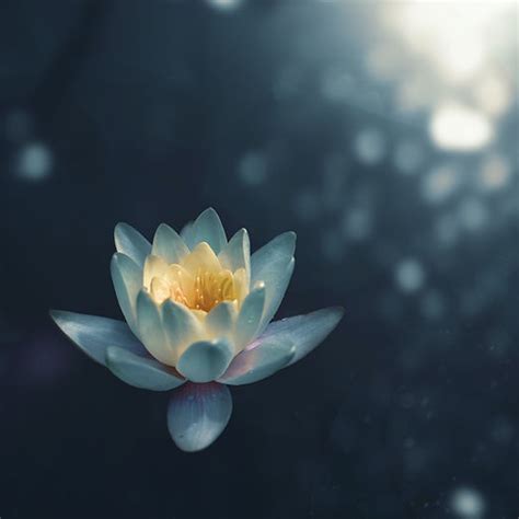 massage blue lotus spa fall river