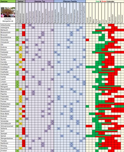 gemuese tabelle schumis kleingarten