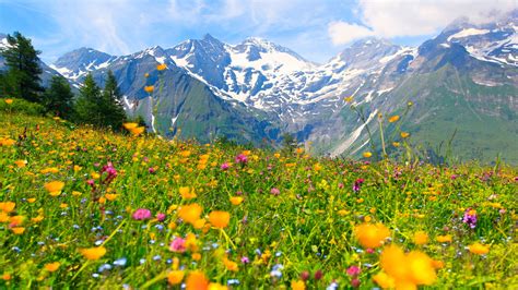 alpen trendsportarten der mensch  den alpen gebirge natur