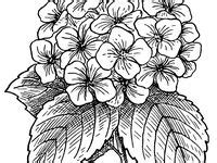 color flowers  trees ideas coloring pages coloring books