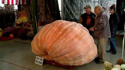 New East Coast Record Set For This Year’s Largest Pumpkin At Weigh Off