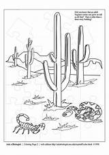 Desert Coloring Pages Printable Library Clipart sketch template