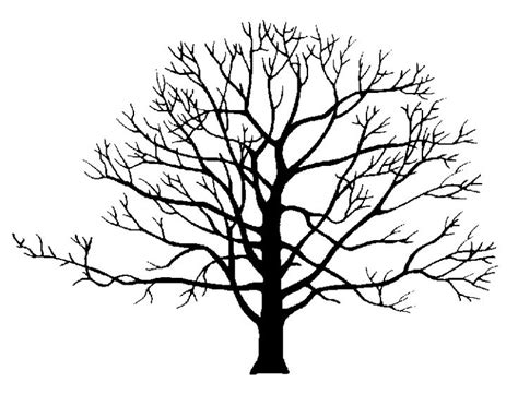 77 best images about trees on pinterest tattoo ideas trees and tree silhouette