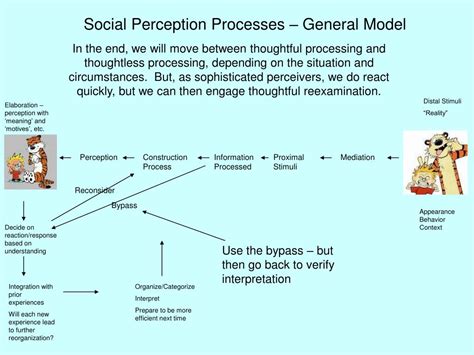social perception processes powerpoint