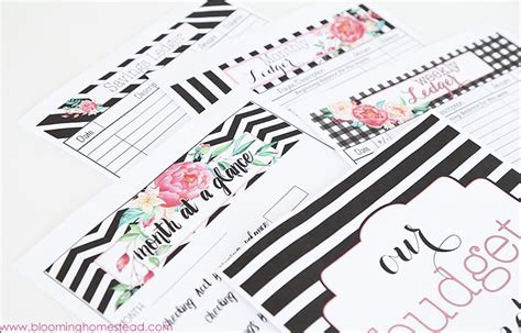 printable budget binders page    blooming homestead