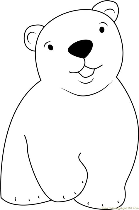 cute  polar bear coloring page  kids    polar