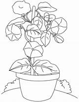 Pot Bestcoloringpages Unless sketch template