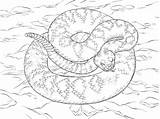 Coloring Rattlesnake Klapperschlange Diamant Ausmalbild Diamondback Kolorowanka Eastern Kostenlos Kleurplaat Diamentowy Kolorowanki Diamanten Ausdrucken Designlooter Snakes Kategorii Malvorlagen Marishaturat sketch template