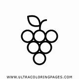 Uva Grapes Uvas Página Ultracoloringpages sketch template