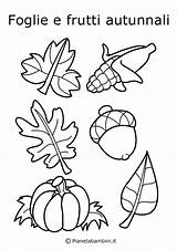 Autunno Autunnali Frutti Foglie Herfst Frutta Kleurplaat Autunnale Herbst Schede Pianetabambini Stampare Ausmalbilder Kleurplaten Malvorlage sketch template