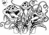 Venus Fly Trap Coloring Pages Carnivorous Plant Drawing Sheet Plants Activities Traps Getdrawings Kids Learning Children Visit Adult sketch template