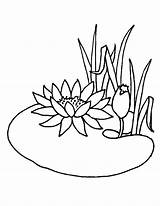 Pond Coloring Pages Lotus Flower Drawing Animals Growing Water Flowers Summer Getcolorings Getdrawings Lily Surprising Jpeg Color Chinese sketch template