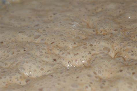 saving homebrew money   yeast fermentarium