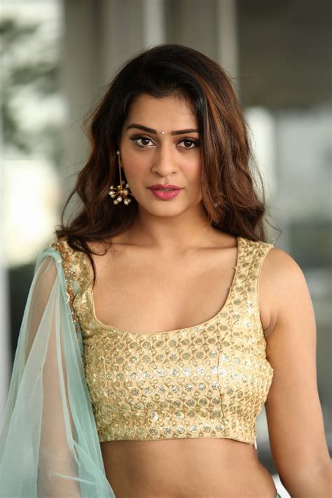 Beauty Galore Hd Payal Rajput Hot Hip Photos In Low