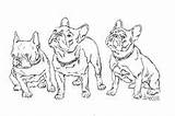 French Bulldog Coloring Pages Adult Search Google sketch template
