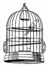 Cage Coloring Bird Pages Clipart Para Kleurplaat La Coloriage Oiseau sketch template