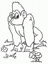 Coloring Pages Monkey Gorilla Cute Printable Template Banerjee Gianfreda Awesome Sheet Popular Kleurplaten Coloringhome Aap Coloringpages1001 Coloringme Previous sketch template