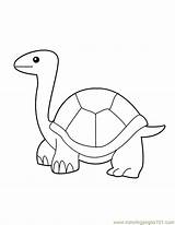 Turtle Coloring Pages Printable Template Adults Abstract Library Clipart sketch template