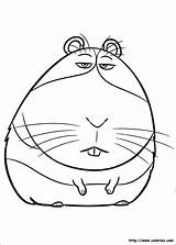 Norman Coloriage Ausmalbilder Hamster Colorir Dibujar Betes Websincloud Secreta Coloriez Bêtes Secreto Imprimir Coloriages Ton sketch template