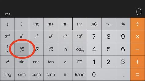 calculator  square root function  calculun
