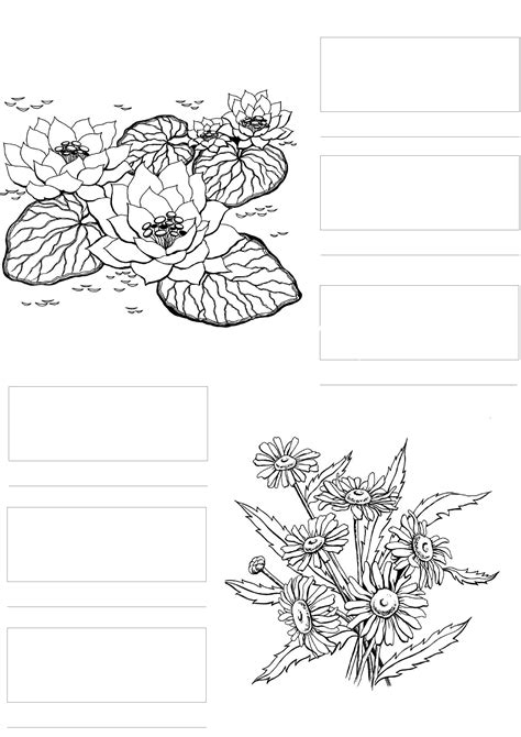 printable copic coloring pages printable word searches