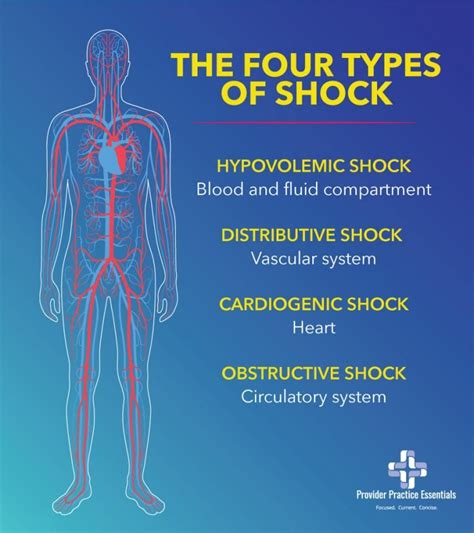 types  shock  therapeutive interventions ppe medical