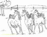 Pages Coloring Horses Running Getcolorings Horse sketch template