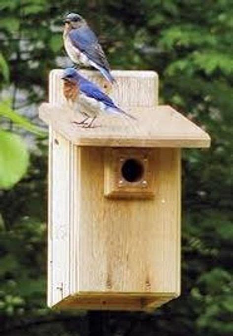 traditional bluebird house bluebird house bird houses blue bird