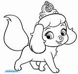 Coloring Puppy Pages Pets Disney Pet Kitten Princess Print Color Printable Cute Colouring Palace Kids Clipart Puppies Barbie Dog Kittens sketch template