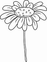 Daisy Clip Clipart Flower Coloring Outline Cliparts Pages Line Sweetclipart Library Clipground sketch template