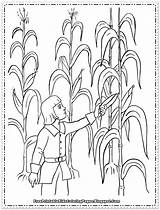 Corn Coloring Printable Pages Kids Field Sheet Colouring Harvest Sheets Preschool Lovely Indian Children Harvesting Cob Cartoon Candy Overflows Cup sketch template