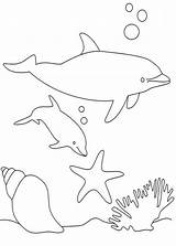 Delfini Lumba Delfine Ikan Mewarna Kertas Pianetabambini Halaman Druckbare Haiwan sketch template