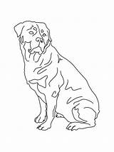 Rottweiler Drawing Dog Print Line Easy Dogs Cute Little Visit Tattoo Etsy sketch template