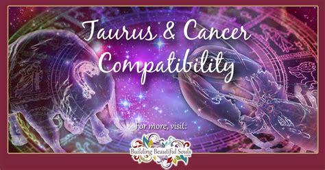 Taurus And Cancer Compatibility Friendship Love And Sex