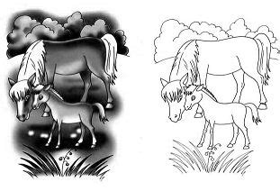 cute baby horse coloring page  coloring pages