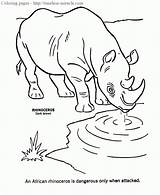 Rinoceronte Rhino Rhinoceros Miracle Honkingdonkey sketch template