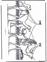 Kamelen Kamele Ausmalbilder Karavaan Caravane Carovana Colorare Caravana Kameel Chameaux Egypte Cammelli Coloriages Nukleuren Jetztmalen Dromedario Disegni Meer Egipto Publicité sketch template