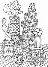 Coloring Succulent Pages Succulents Books Adult Book Cactus Color Portable Cleverpedia Amazon sketch template