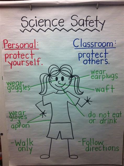 ideas  science lab safety  pinterest science safety