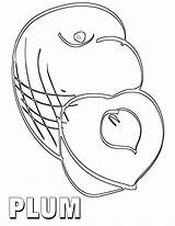 Plum Coloring Pages Print Plum2 sketch template