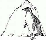 Penguin Pinguin Pingouin Emperor Penguins Pinguim Ausmalbild Mewarnai Kleurplaten Eisberg Pinguini Albumdecoloriages Pinguino Bingung Anaknya Sedang Mencari Iceberg Adelie Desenhar sketch template