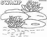 Swamp Coloring Pages Drawings 66kb 1000 sketch template