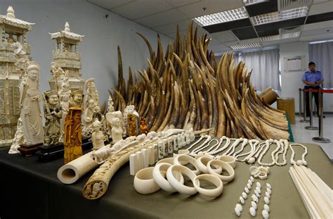 chinese officials accused  smuggling ivory  state visit  tanzania  washington post
