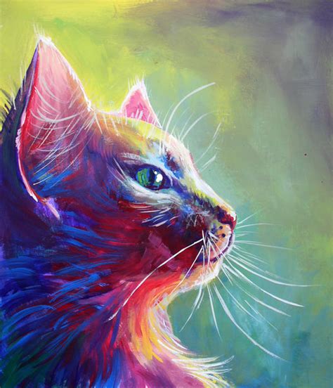 colorful cat   san   deviantart