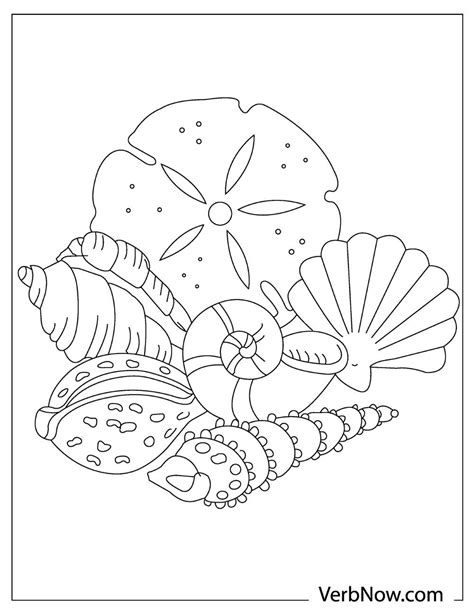 seashell coloring pages