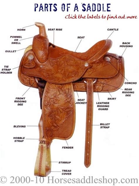 interactive western saddle parts diagram  horse saddle shop tips